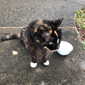 Meet your Posher, Cody